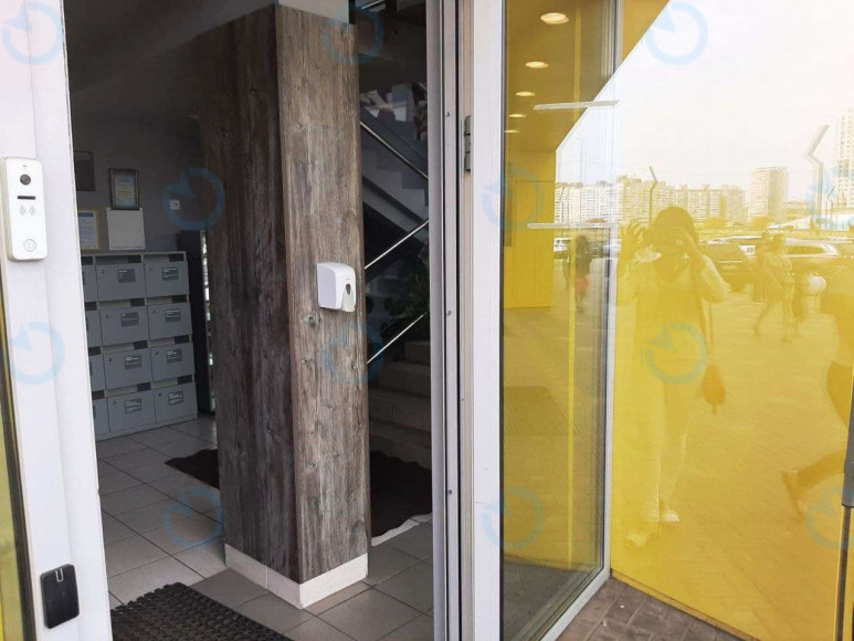 Гришка, 3 - фото 2