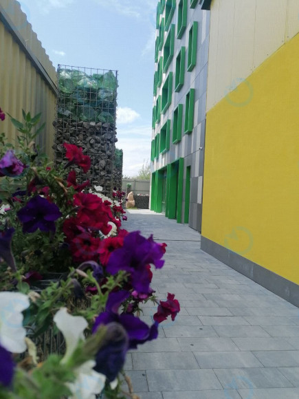 Pixel Hub - фото 4