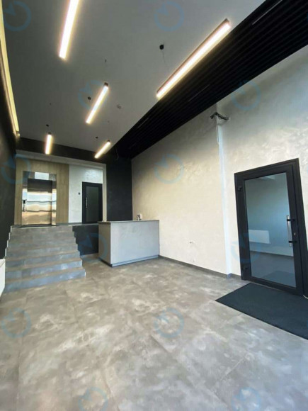 Вільямса, 2Б - фото 3