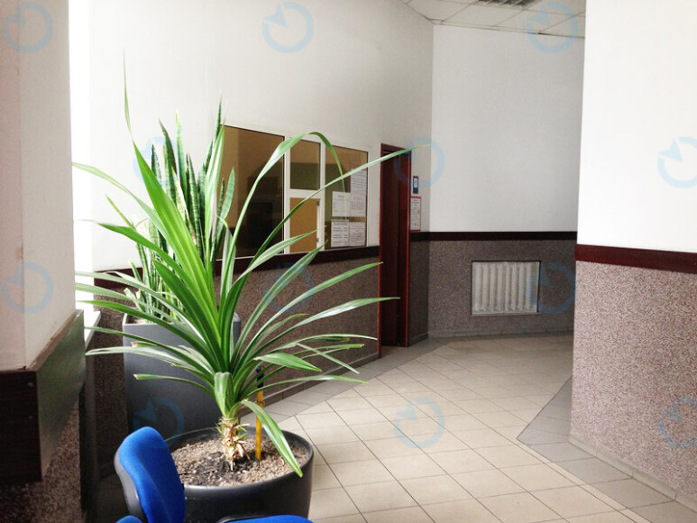 Соціум - фото 7