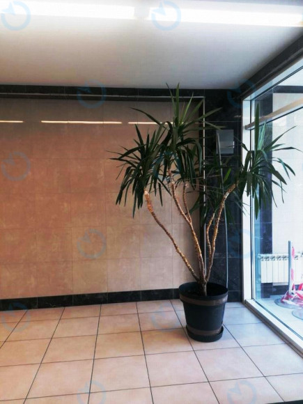 Реноме - фото 8