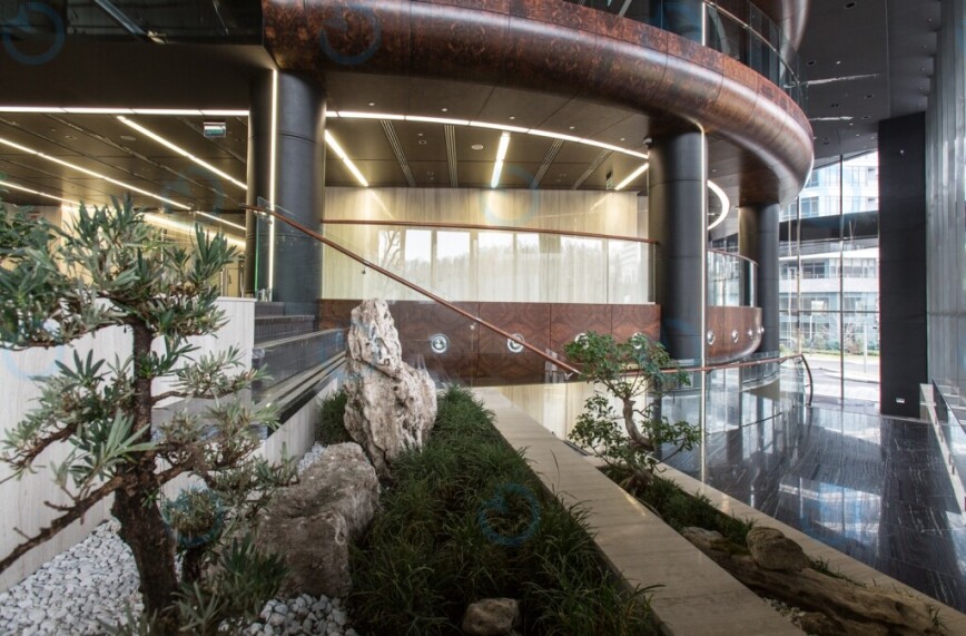 IQ Business Center - фото 5