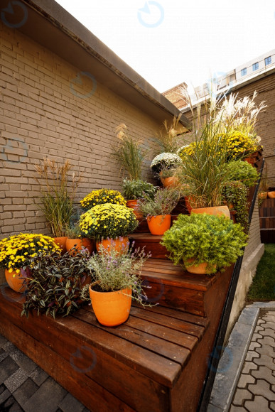 INFINITY (ІНФІНІТІ) - фото 10