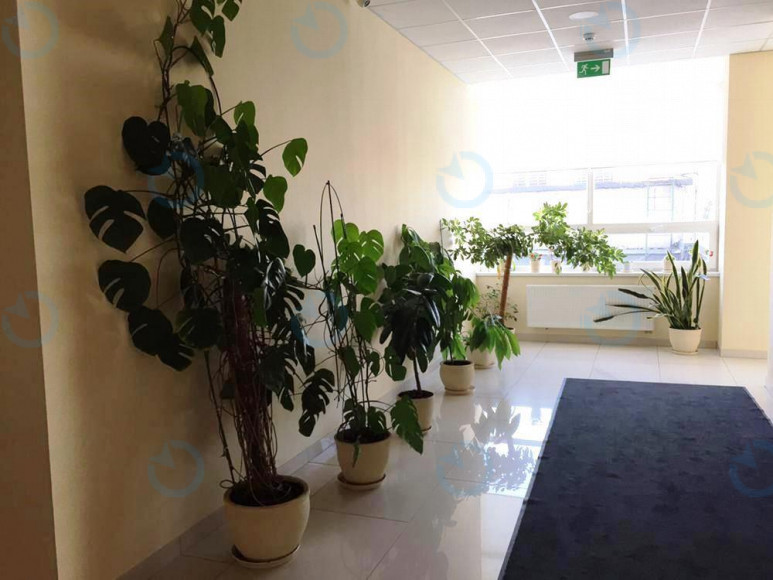 Геліос (Gelios) - фото 8