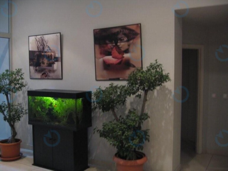 Європа на Музейному - фото 4