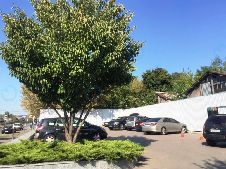 Столичний - фото 6