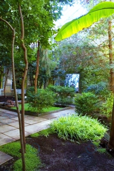 ІРВА - фото 15