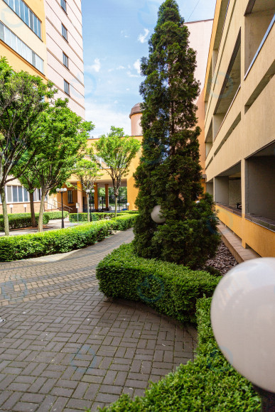 Grand Step (Гранд Степ) - фото 4