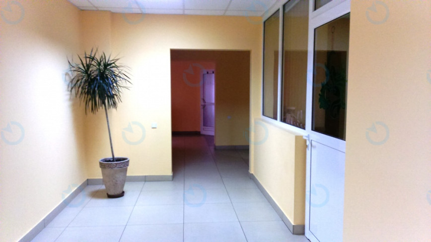 Аріадна - фото 7