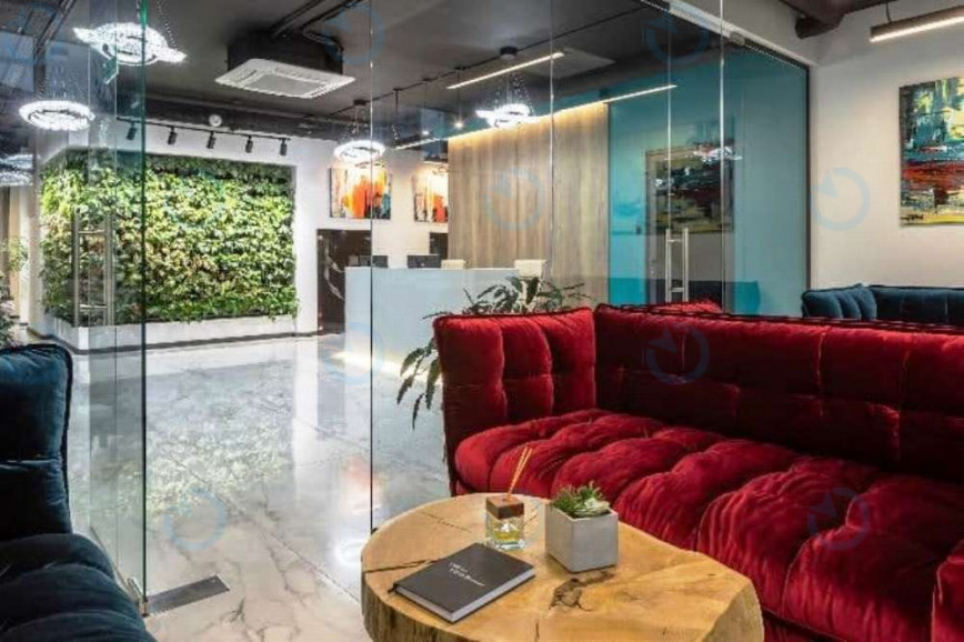 THE RESIDENT - фото 6