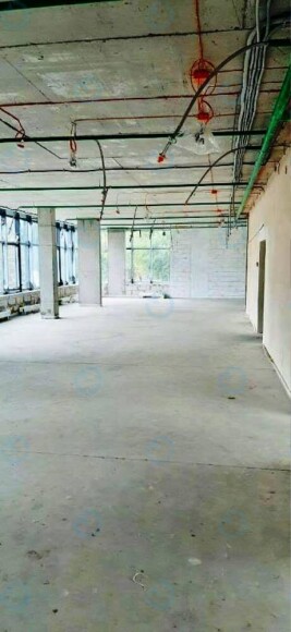 Липківський - фото 8