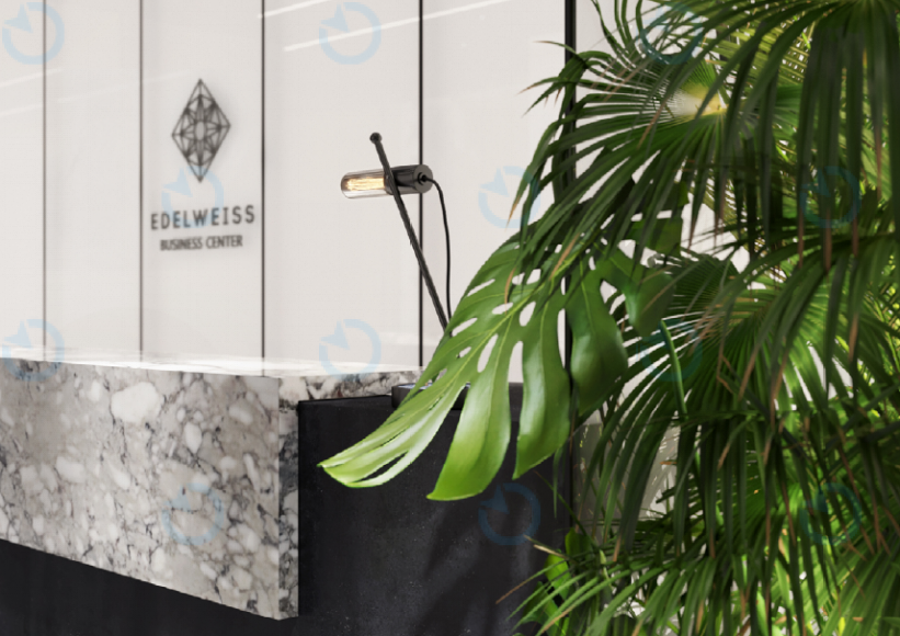 Едельвейс - фото 4