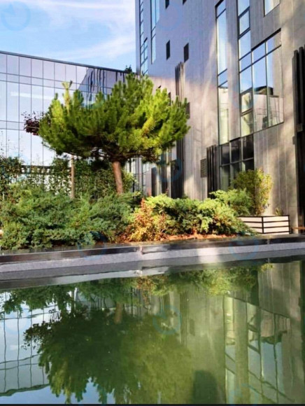 Avenue 53 - фото 7