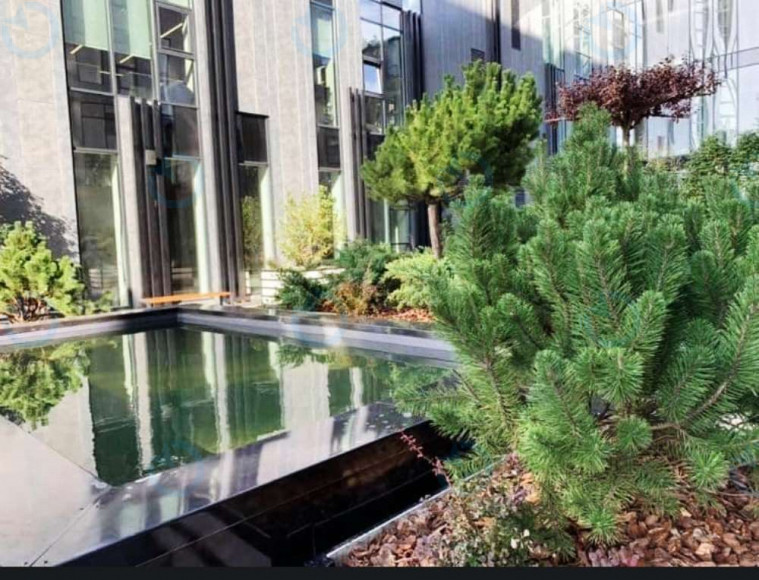 Avenue 53 - фото 5