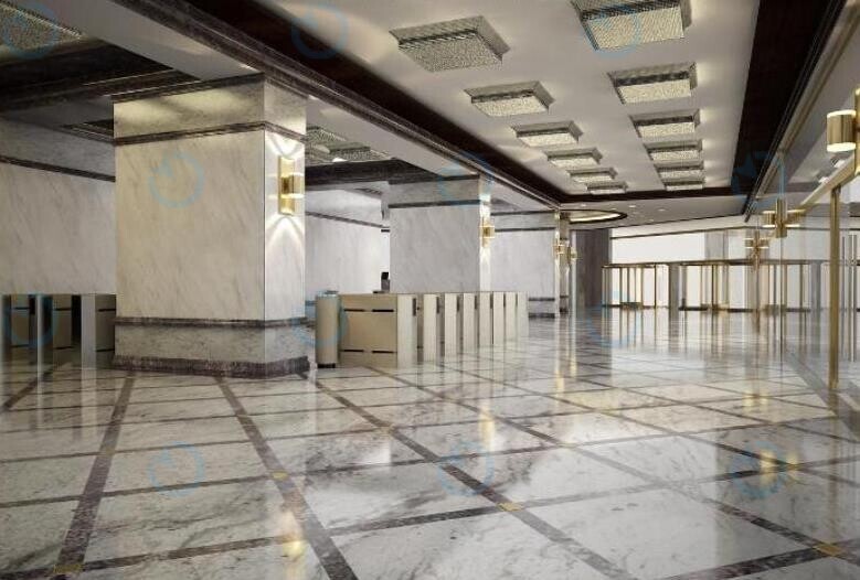 Сенатор - фото 4