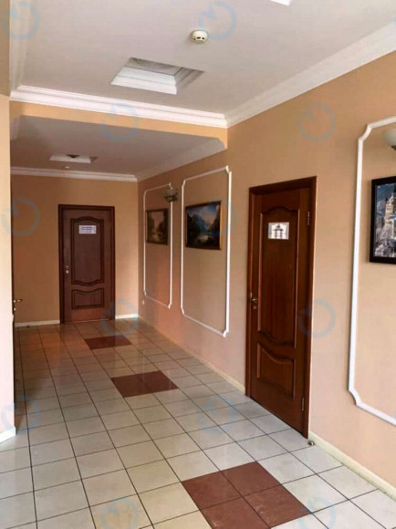 Гмирі, 1 - фото 4