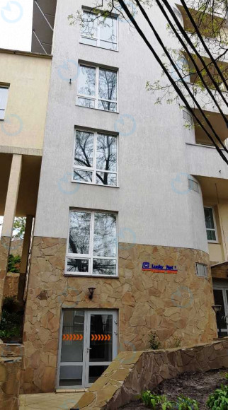 Lucky.net - фото 8