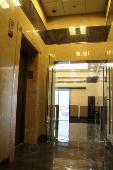 Saksagansky - фото 8