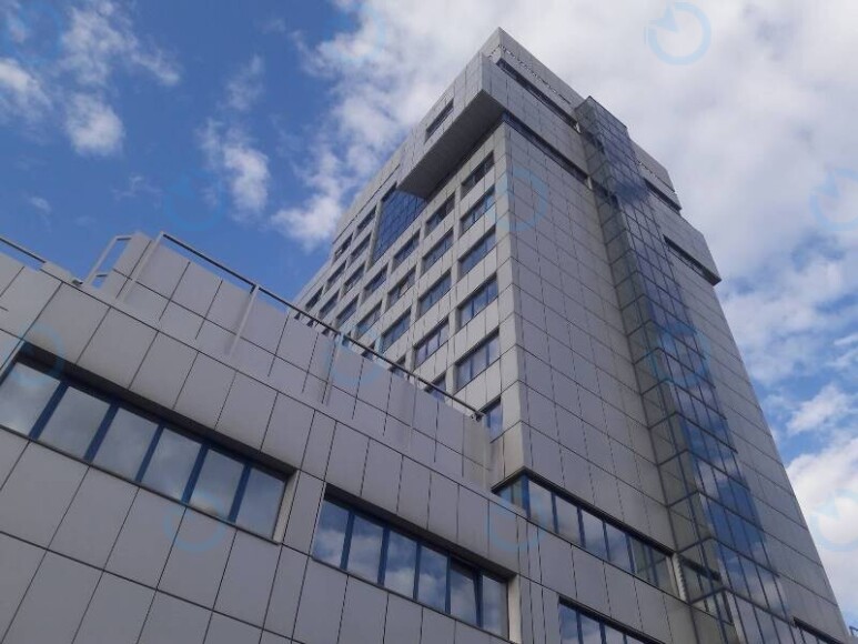 Sunflower - фото 2