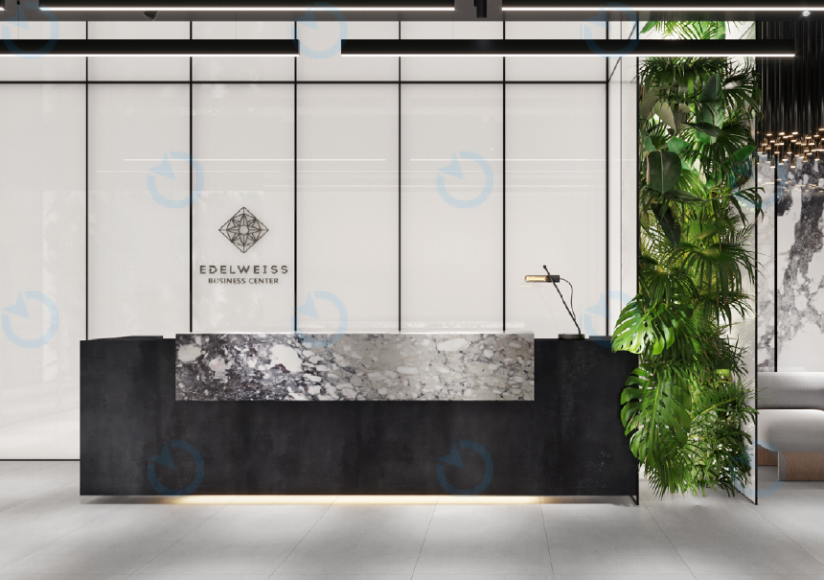 Едельвейс - фото 3