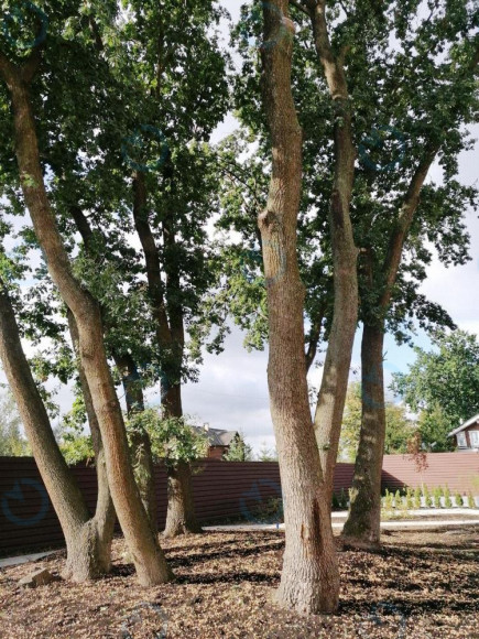 ЄВРОГОТЕЛЬ «VOLNA» - фото 8