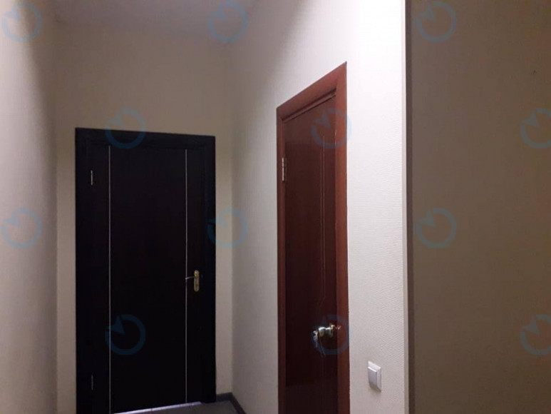 Хорива, 47А - фото 4