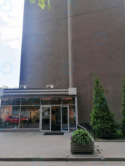 Аріадна - фото 3