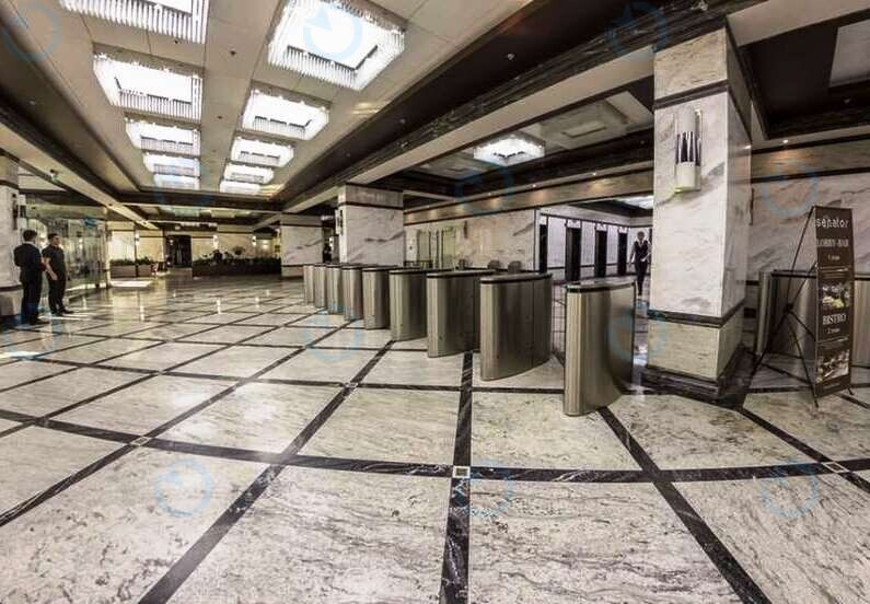 Сенатор - фото 8