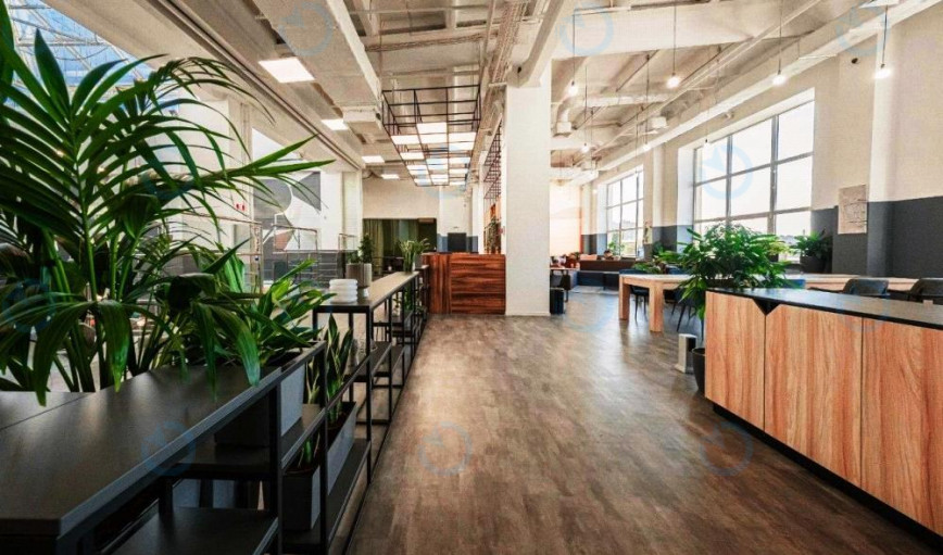 Platforma Office Club - фото 3