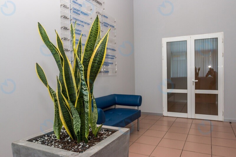 Кубик-центр - фото 7