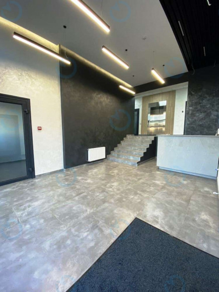 Вільямса, 2Б - фото 5