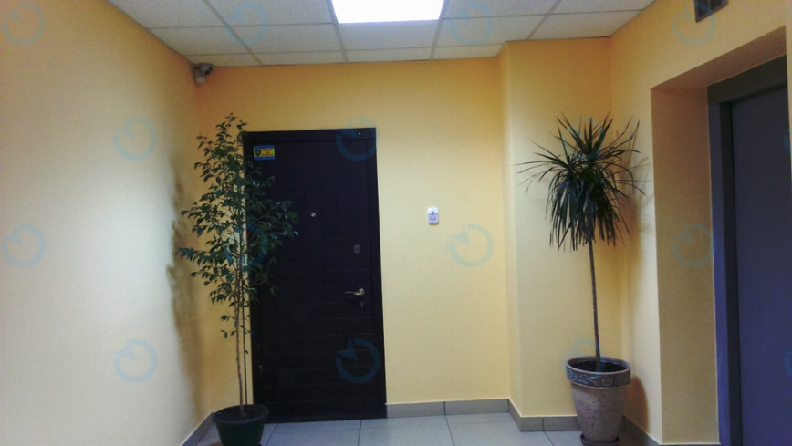 Аріадна - фото 8