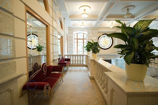 Ренесанс - фото 5