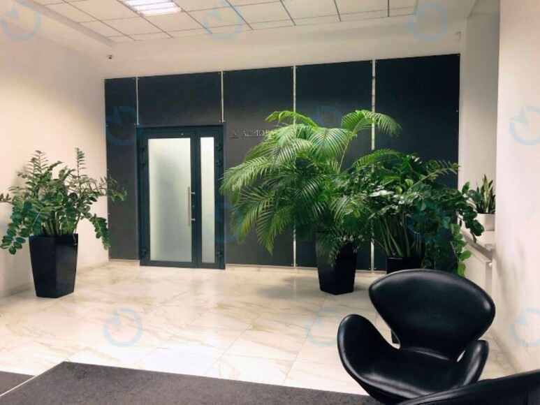 Дружби Народів, 19 - фото 8