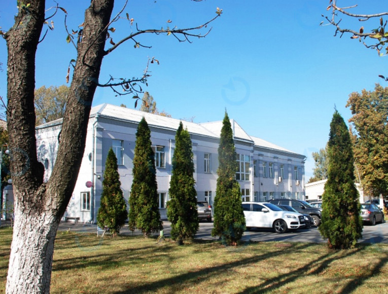 Тандем - фото 7