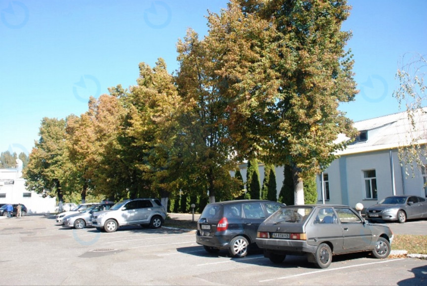 Тандем - фото 10