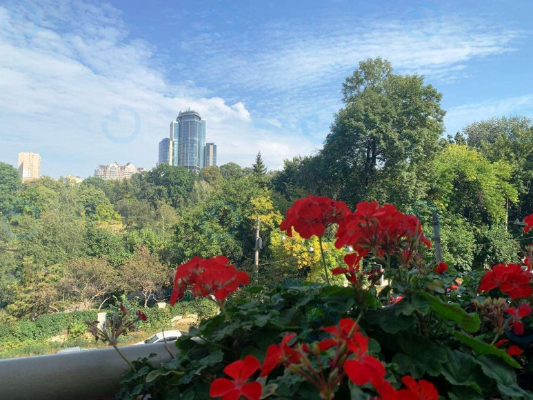 Граф Толстой - фото 4