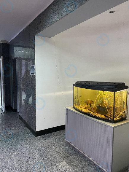 Оренда офісу 55 м.кв 2 поверх Кронос - фото 7