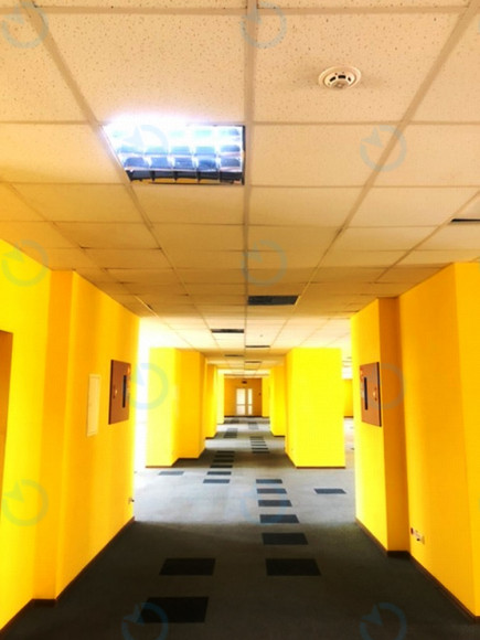 Оренда офісу 711 м.кв 6 поверх Прага - фото 2