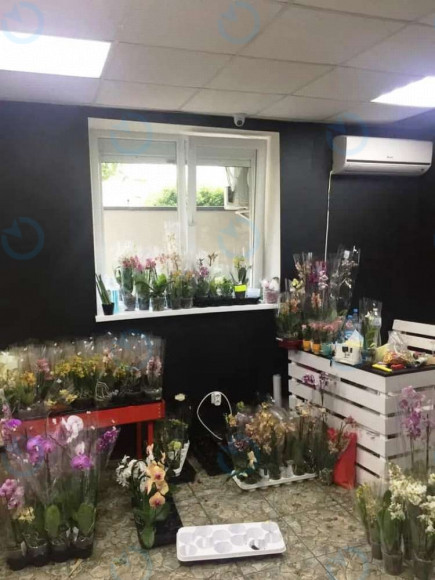 Продаж офісу 51 м.кв 1 поверх Європейська, 2 - фото 4