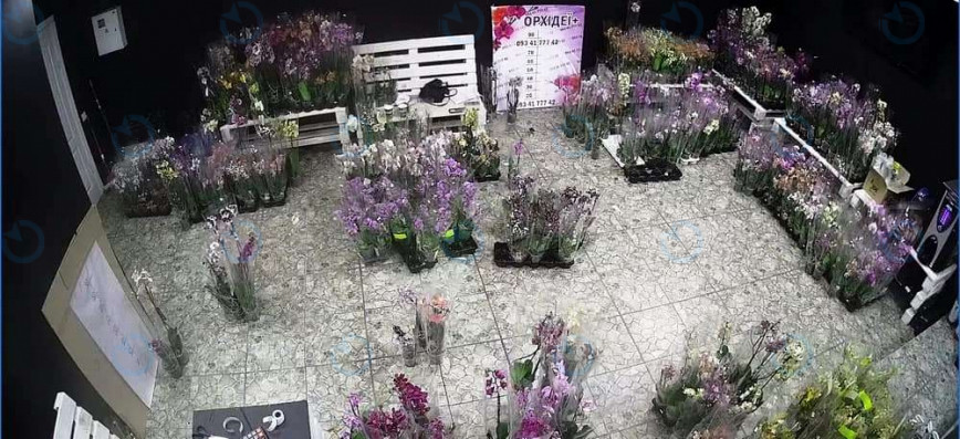 Продаж офісу 51 м.кв 1 поверх Європейська, 2 - фото 2