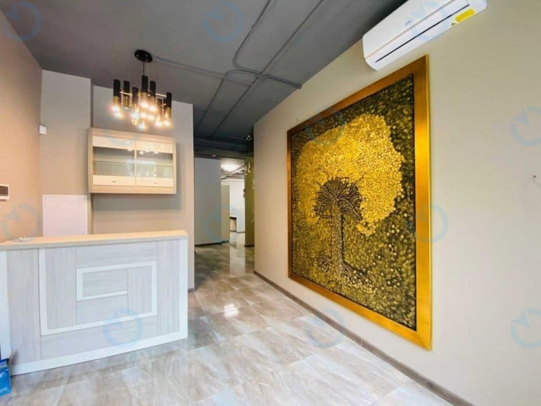 Оренда офісу 220 м.кв 2 поверх Династія - фото 9