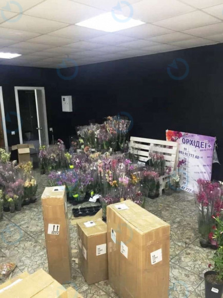 Продаж офісу 51 м.кв 1 поверх Європейська, 2 - фото 5