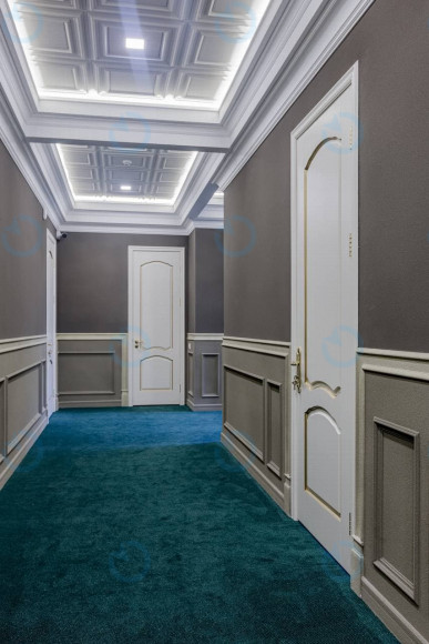 Оренда офісу 1752 м.кв 1 поверх Симона Петлюри, 14 - фото 22